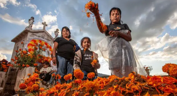 Al menos quince muertos tras un choque múltiple en el estado mexicano de Yucatán